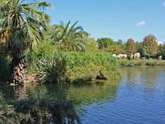 183 D35 PARC OLBIUS RIQUIER A HYERES_000038